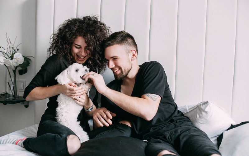 Couple playing with their dog 